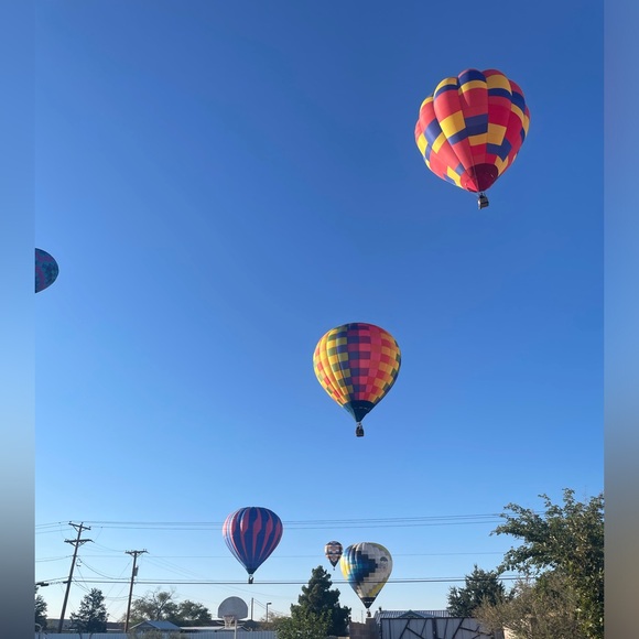 Meet your Posher, Shelby - Picture 3 of 4